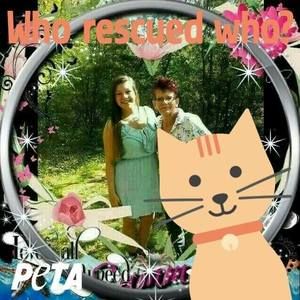 Meet your Posher, Robin